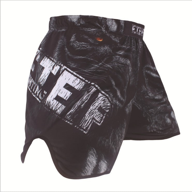 4 Colours MMA & Boxing Shorts.