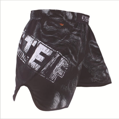 4 Colours MMA & Boxing Shorts.