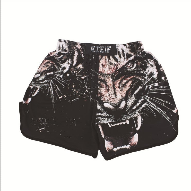 4 Colours MMA & Boxing Shorts.