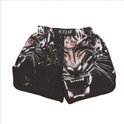 4 Colours MMA & Boxing Shorts.