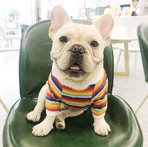 Trendy Brand Dog Clothes Pet Clothes Stretch Cotton.