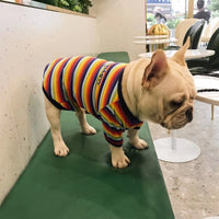 Trendy Brand Dog Clothes Pet Clothes Stretch Cotton.