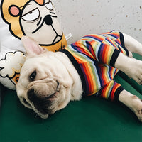 Trendy Brand Dog Clothes Pet Clothes Stretch Cotton.