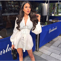 Vintage Deep V Sexy Skinny Pleated Shirt Dress