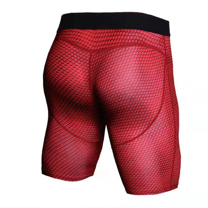 5 VERIENTS SNAKE BJJ COMPRESSION SHORTS.