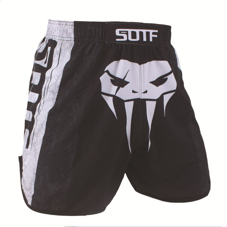 4 Colours MMA & Boxing Shorts.