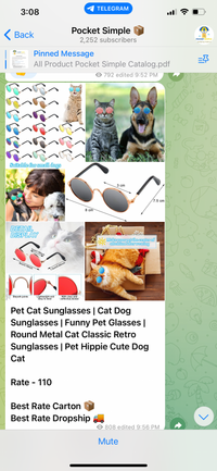 Pet Cat Sunglasses | Cat DogSunglasses.