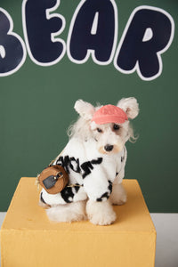 Autumn And Winter New Small And Medium Sized Dog Plush Fur Coat