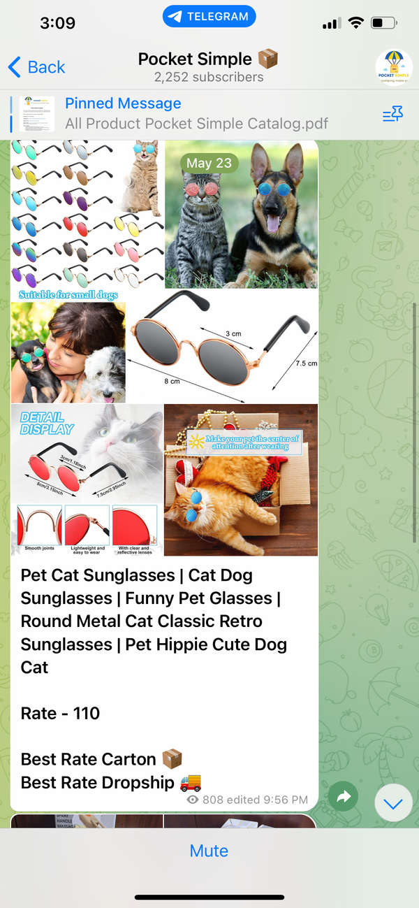 Pet Cat Sunglasses | Cat DogSunglasses.