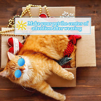 Pet Cat Sunglasses | Cat DogSunglasses.